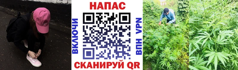 Каннабис OG Kush  как найти наркотики  Цимлянск 